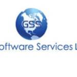 Get Software Services USA Profile Picture