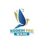 Kodesh Pro-Wash Pro-Wash Profile Picture