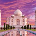 india taj tours Profile Picture