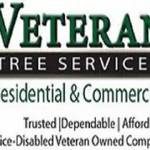 Veteran Tree Services Profile Picture