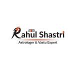 Rahul Shastri Profile Picture