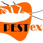 pest control near me Profile Picture