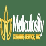 Meticulosity Cleaning Profile Picture