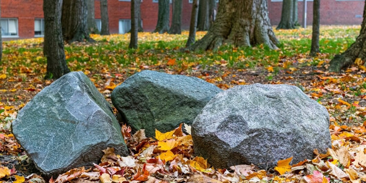 Enhance Your Outdoor Aesthetic with White Landscaping Stones and White Rocks for Landscaping