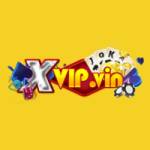 xvipvin Profile Picture