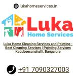 Luka home cleaning services and painting Profile Picture