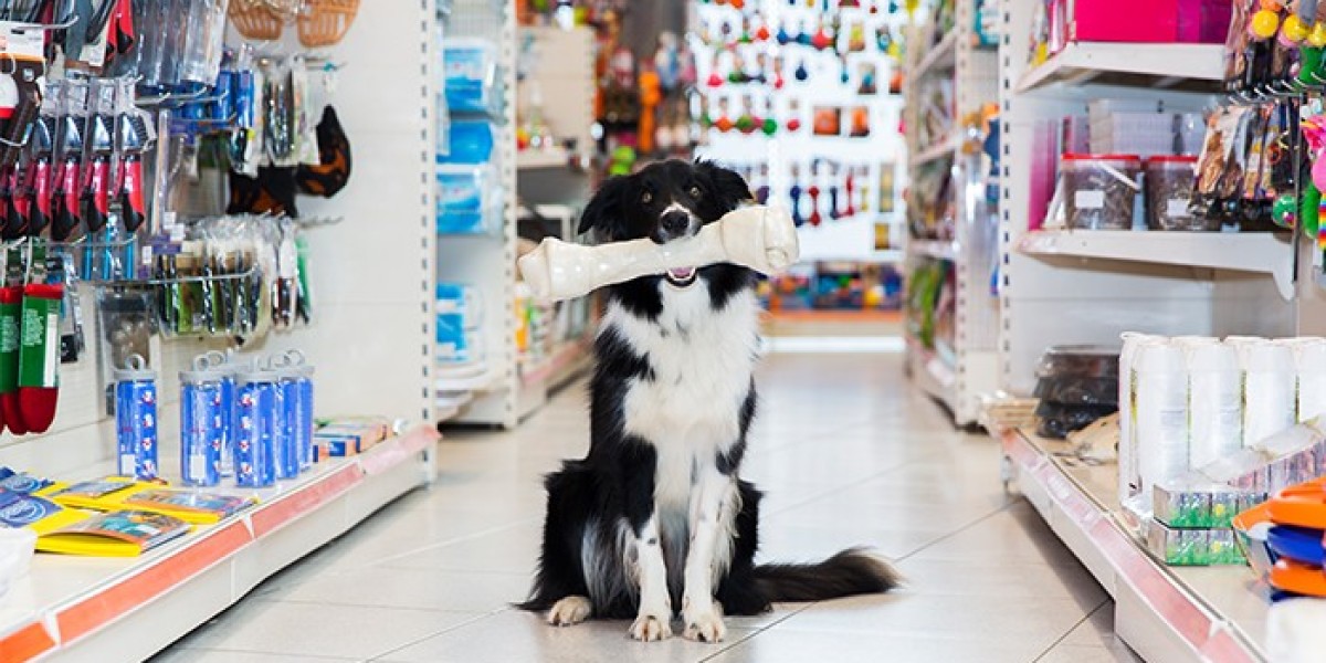 A Simple Guide to Find the Cheapest Pet Shop in Singapore