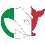 deepseek italiano Profile Picture