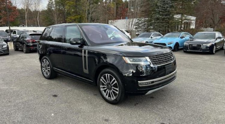 The Ultimate Guide to Bidding at an Auction for Crashed Cars - BIP Luxury Apts News