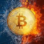 Crypto ATM Expert Profile Picture