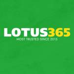 lotus 365 profile picture