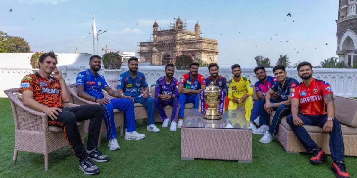 Which 5 Teams Suffered the Most Due to the IPL 2025 Suspension?