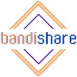 Bandi Share Profile Picture