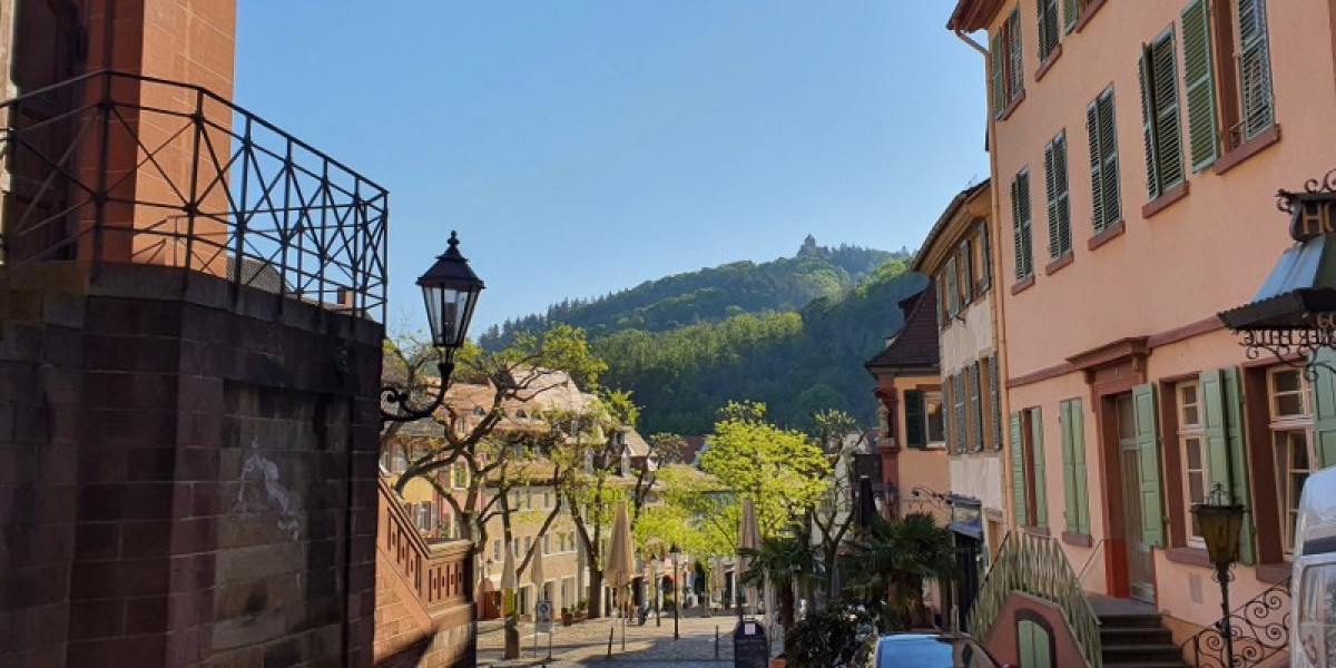 How Professional Weinheim Travel Agency Saves You Time and Money?