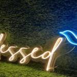 Deepak Kumar profile picture