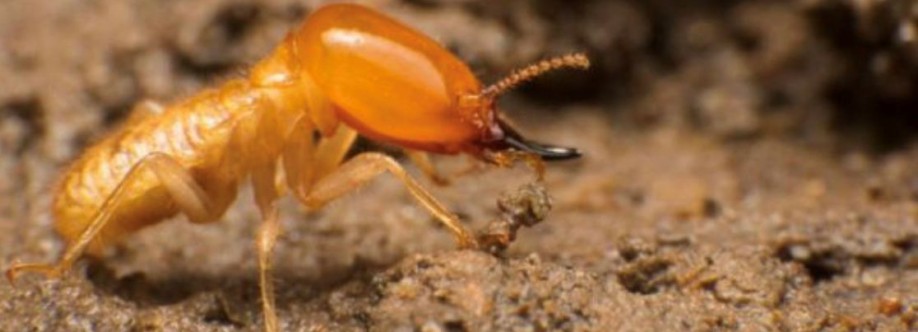 Knockdown Pest Control Cover Image