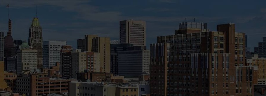 The Mt Washington Group Cover Image