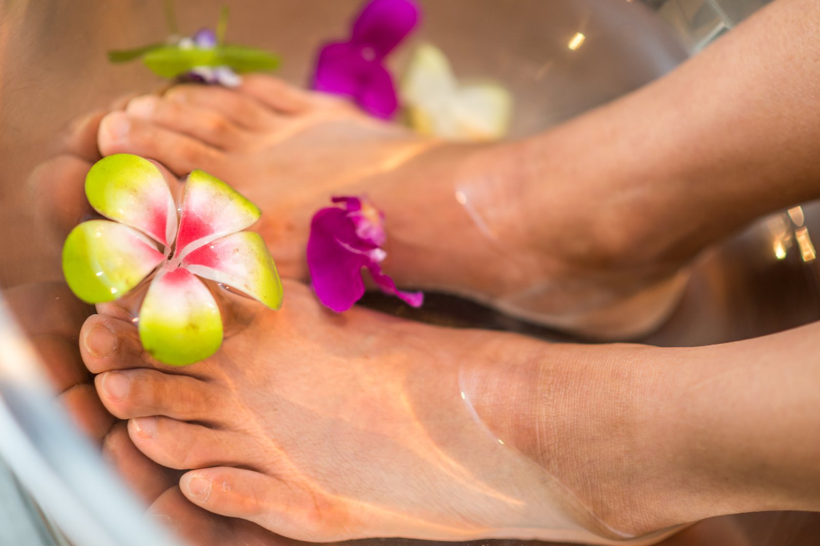 Ayurvedic Rejuvenation Therapy in India | Panchakarma & Wellness Retreat Nilai Wellness