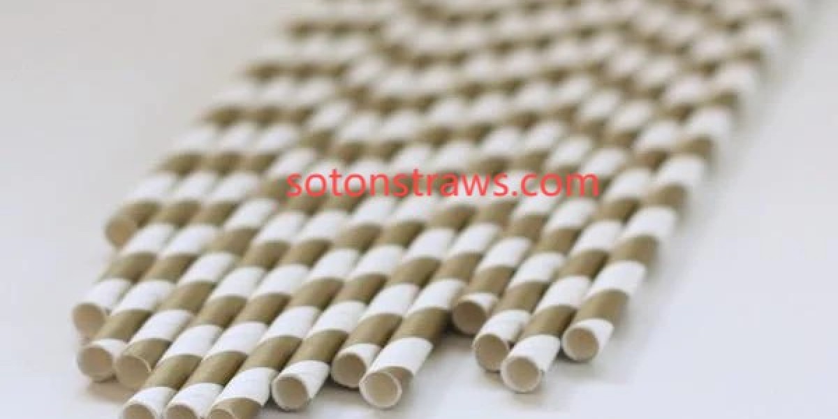 Why Soton's Paper Straws Manufactory Sets Industry Standards