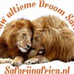 safariinafrica Profile Picture