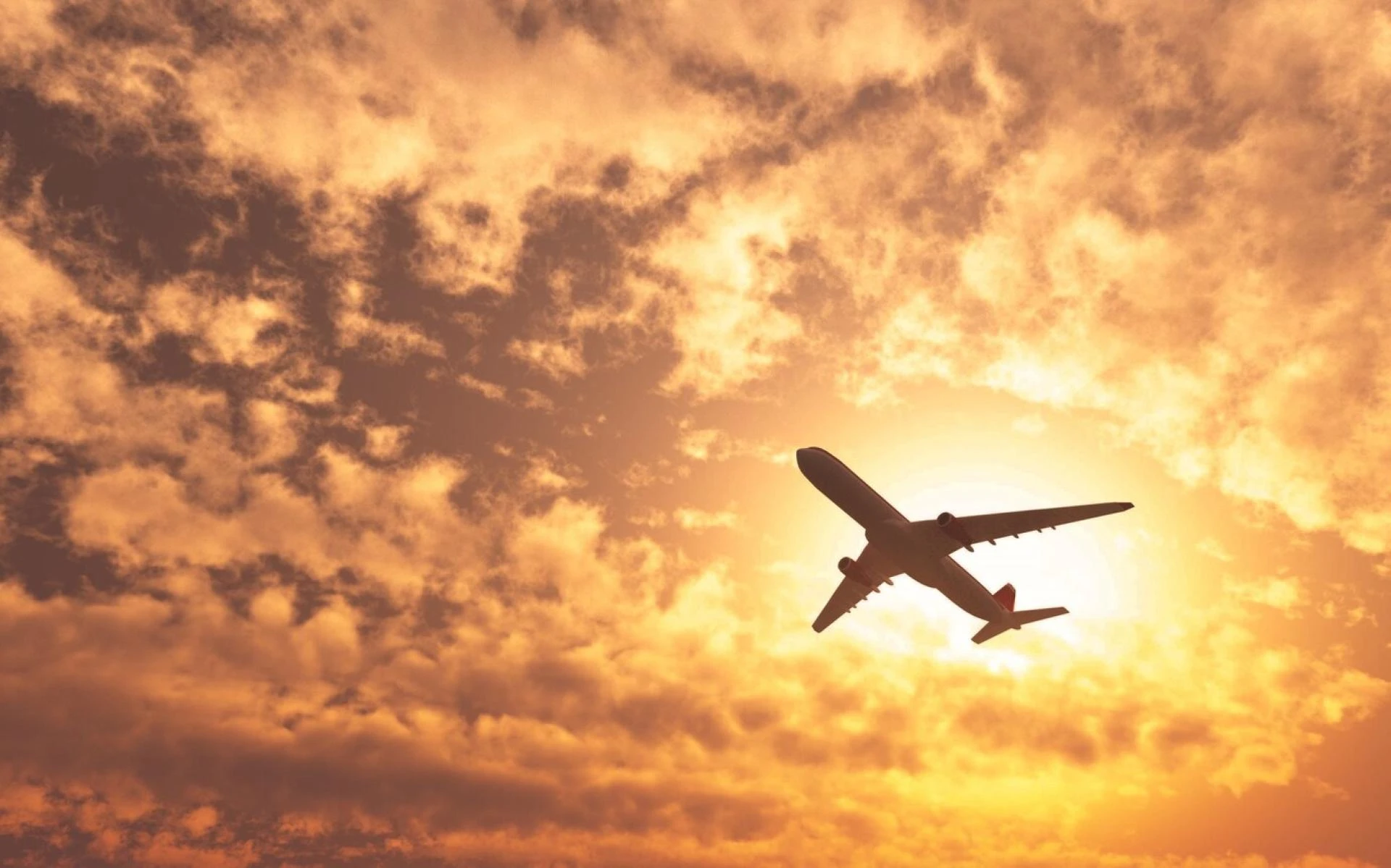 Asiana Airlines customer service? Interact with customers successfully! -  TheOmniBuzz