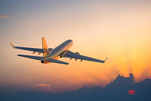 12 Ways to Reach out to  human at United Airlines | Devfolio