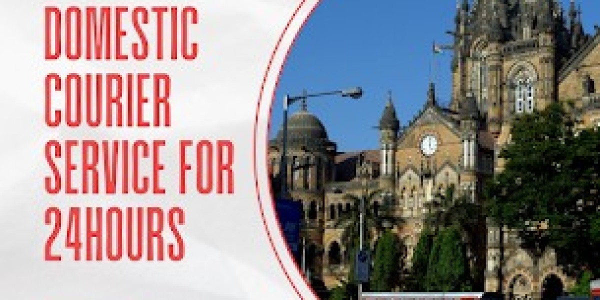 Top Domestic Courier Solutions in Mumbai | Sonali Express Worldwide Courier and Cargo