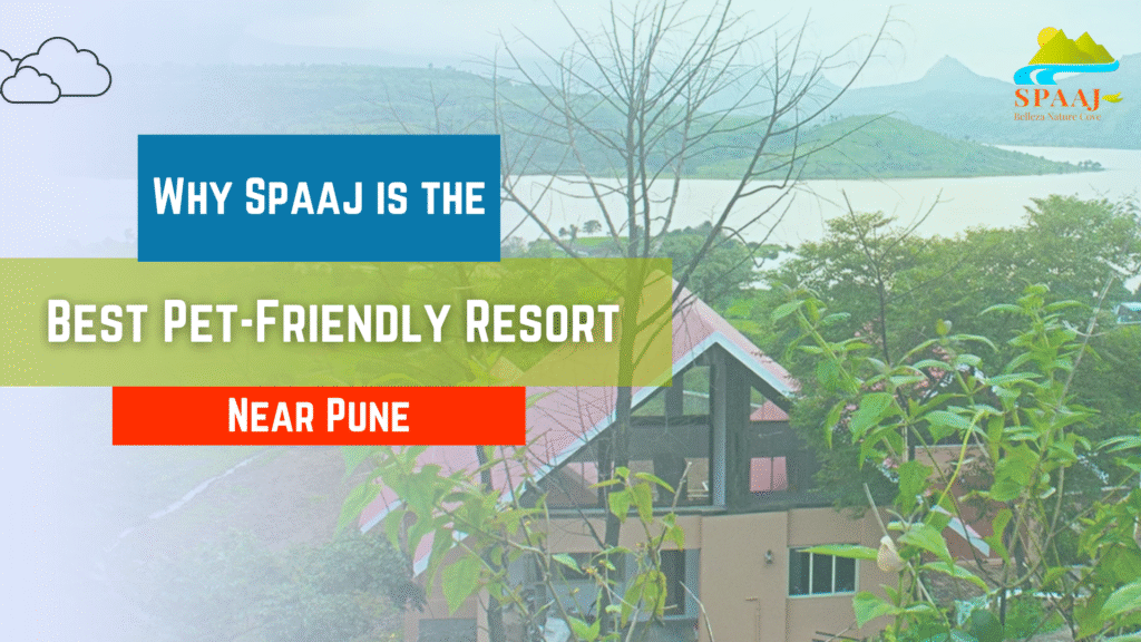 Top Pet-Friendly Resort Near Pune – Why Spaaj Stands Out