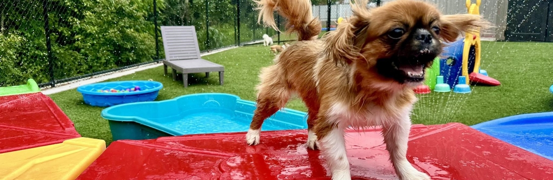 Pet Play Place Cover Image