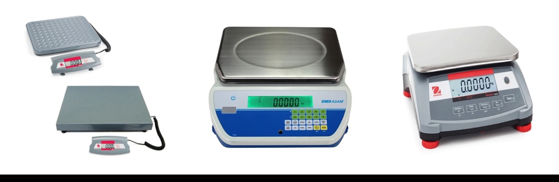Scales and Balances Cover Image