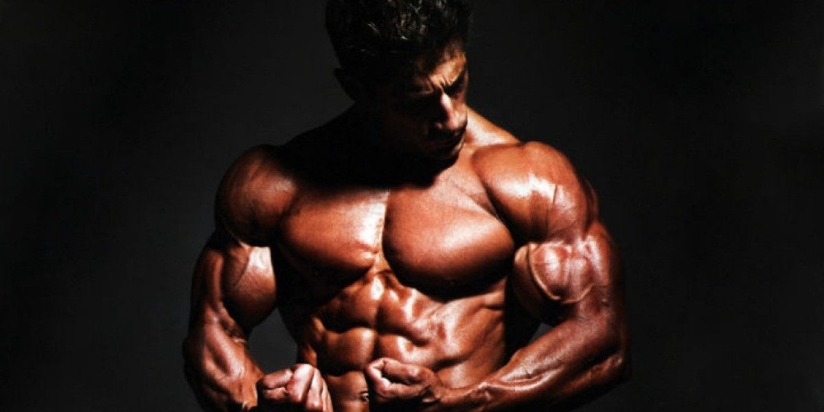 A Comprehensive Guide to Buying Steroids Online: What You Need to Know