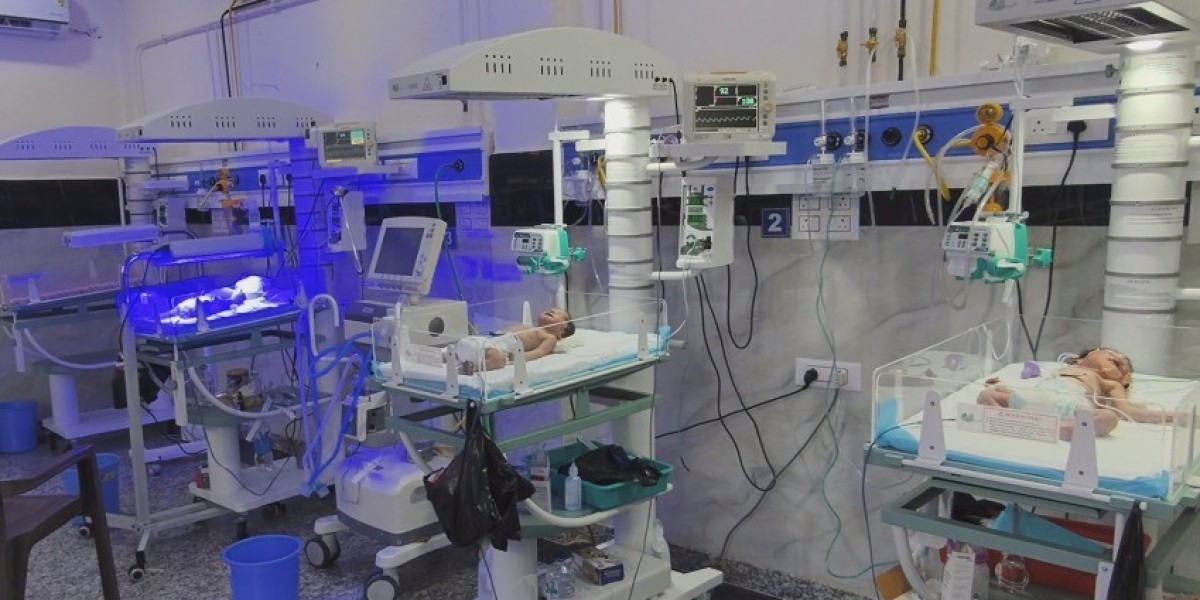 Understanding the Role of a Pediatrician: Newborn Care and the Importance of NICU Support