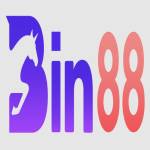 BIN88 Profile Picture