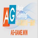 ag游戏 Profile Picture