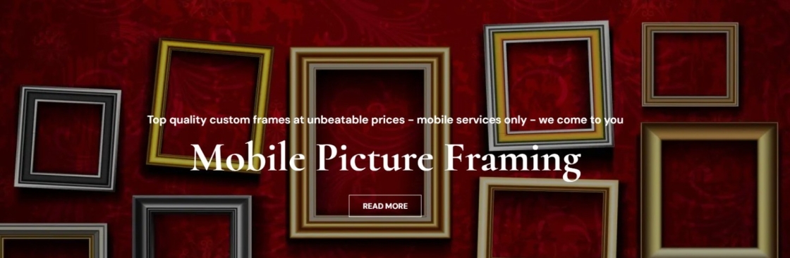 Pyramids Picture Framing Cover Image