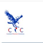 custodianins Profile Picture
