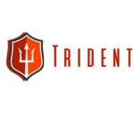 TRIDENT SHIPPING & TRADING PTE. LTD. Profile Picture