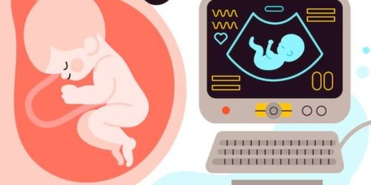 High-Precision Pregnancy Ultrasound Services