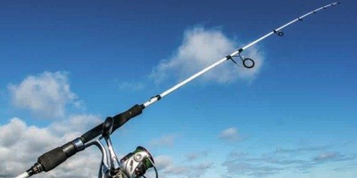 Top Sea Fishing Rods to Use with a Durable Fishing Box and Stand for Sale