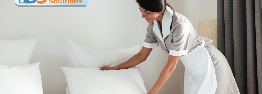 Domestic Solutions Cover Image