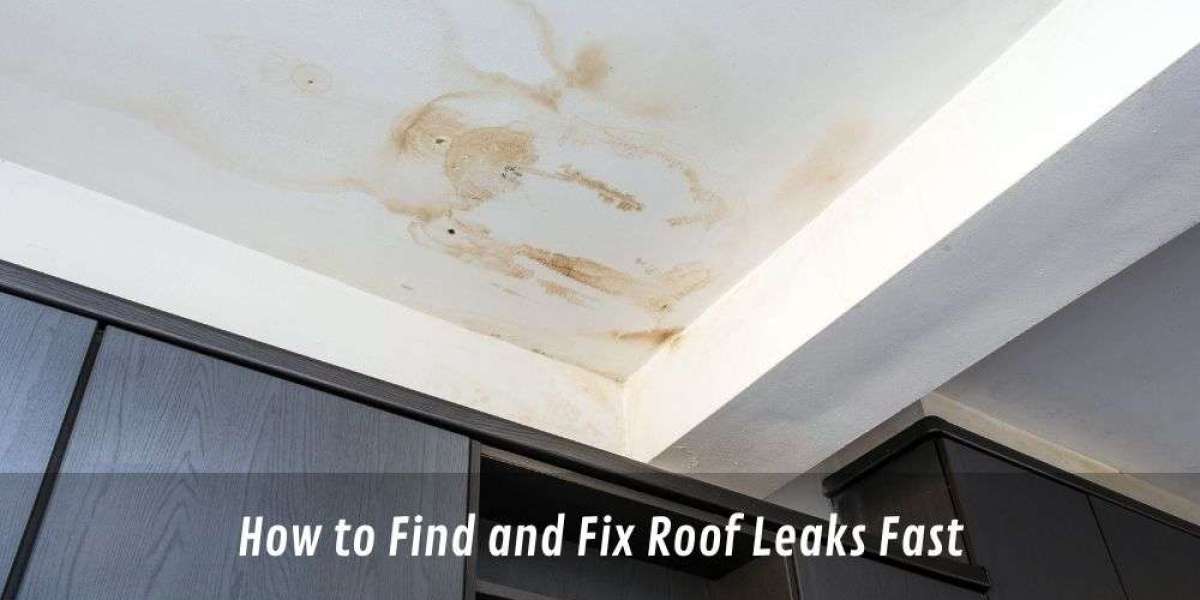 How to Find and Fix Roof Leaks Fast