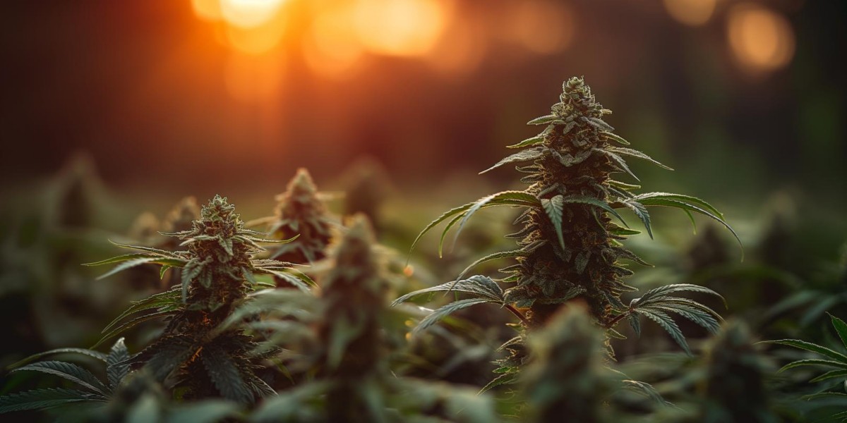 Understanding Weed Seeds: Growth, Dispersal, and Management