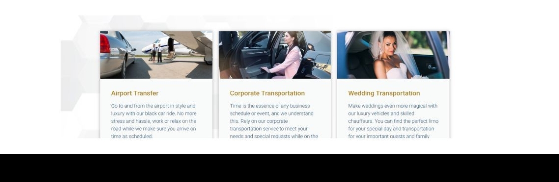Blackline Car Service Cover Image