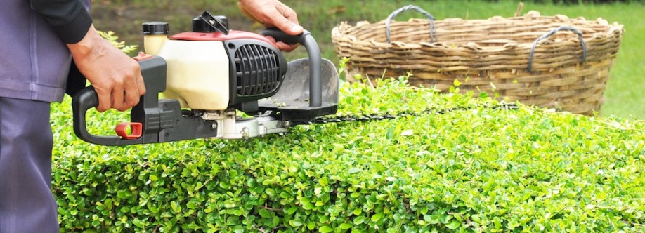 Gapa lawn Mowing Company Cover Image