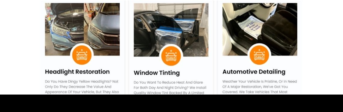 Pro Chex Detail Tint Cover Image