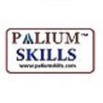 paliumskills Profile Picture