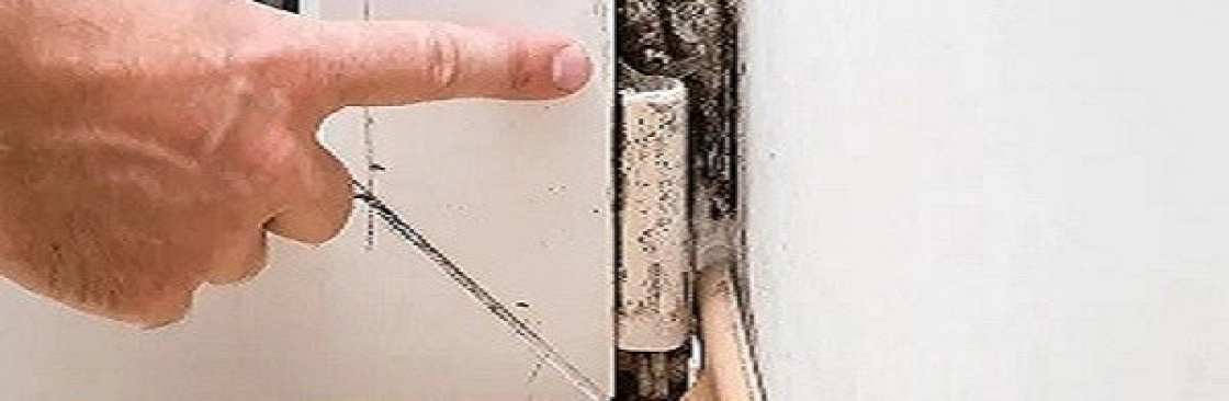 Mould Doctors Cover Image