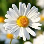 Snee Snee Profile Picture