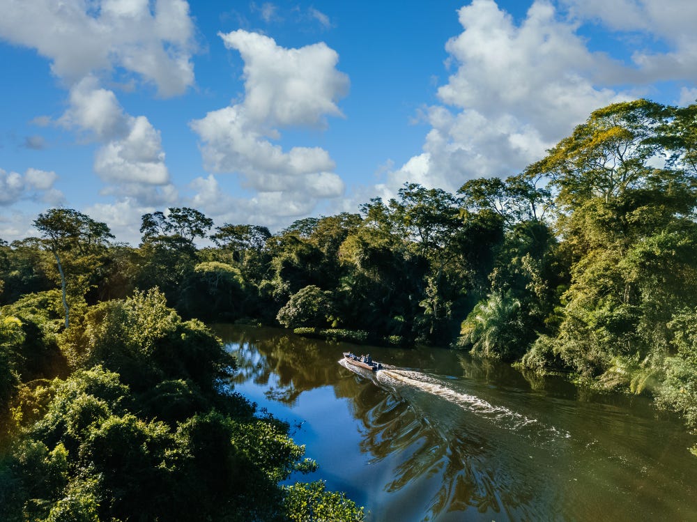 Amazon Rainforest Tours Peru: What to Expect and How to Prepare | by Amazontripsperuseo | Jun, 2025 | Medium
