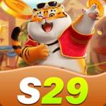 s29gamenet Profile Picture